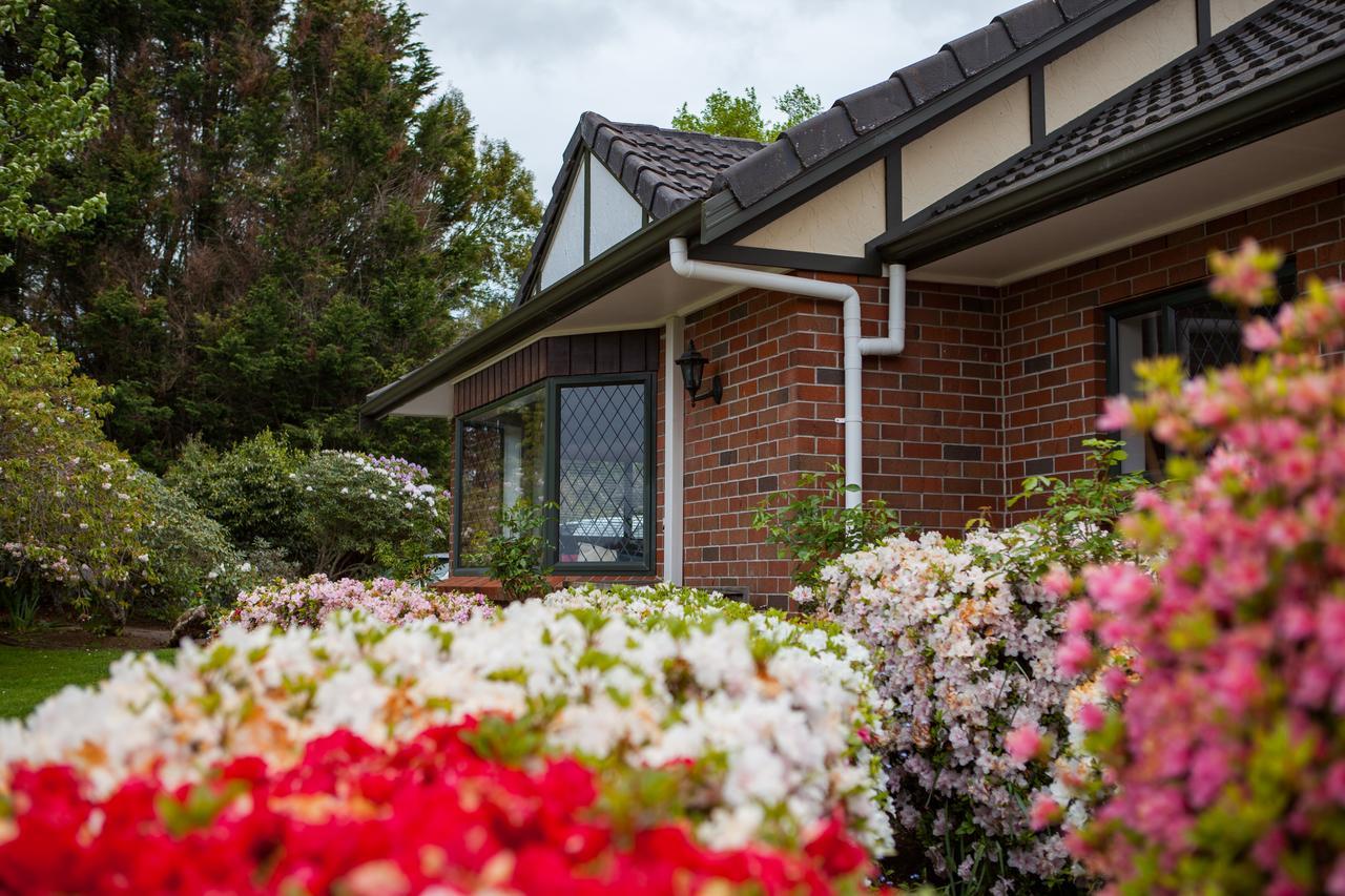 Clover Downs Homestead Rotorua Exteriör bild